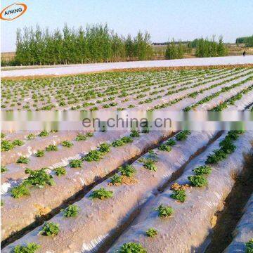 Agriculture black plastic mulch film for agriculture