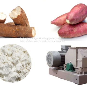 Large potato starch production process