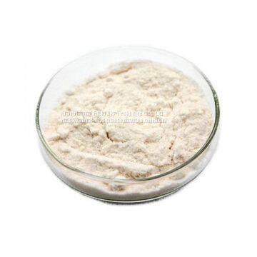 Pure HCA 50% 60% Weight Loss Body Slimming Garcinia Cambogia Extract Powder