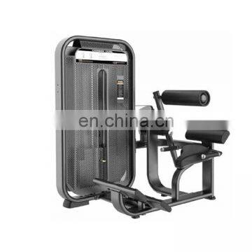 Wholesale Powerful Bodybuilding Tools Sports Machine Lower  pin loaded Back Extension Equipment for sale SES31