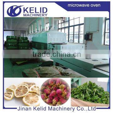 New Project Automatic Food Sterilizing Machine