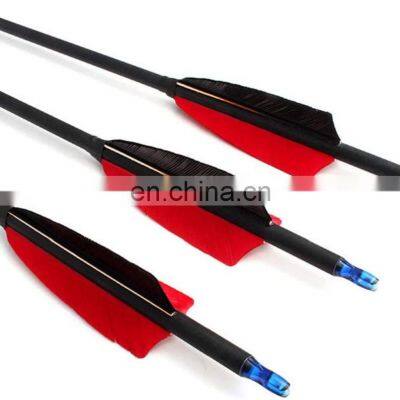 12 Pack Mix Carbon  30/31 Inch Hunting Archery bow and  arrow 100 Grain Points Targeting Compound/Recurve/Long  shooting arrow