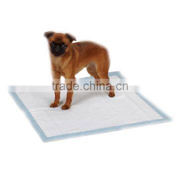 indoor potty pads for dogs indoor pee pads for dogs how to potty train a dog