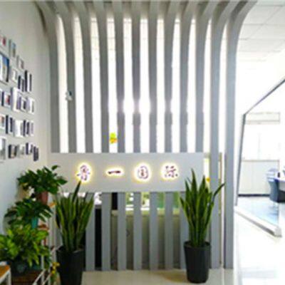 Shandong Luyi Vehicle Co., Ltd. company overview - view 1