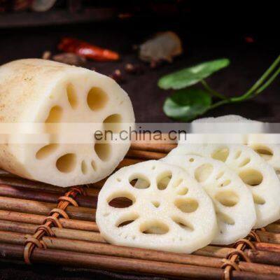 Dried Sliced Lotus Roots/Rich in Nutrition From Vietnam photo-4