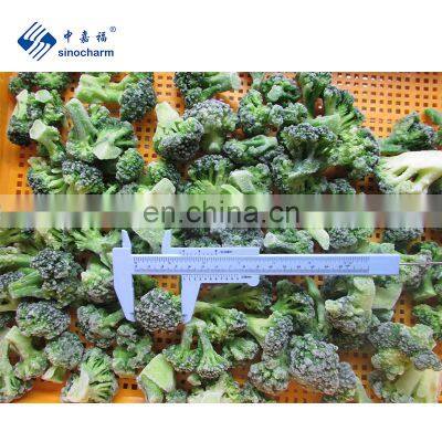 Sinocharm BRC-A approved New Crop IQF Broccoli Cut 3-5cm Frozen Broccoli