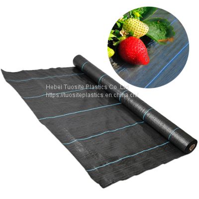 Ground Cover Fabric / Weed Barrier Mat Garden Weed Barrier Cloth With Pegs