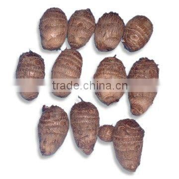 Chinese Fresh Taro