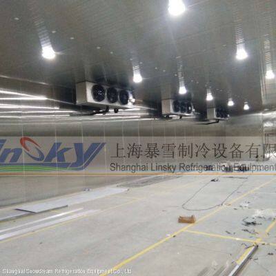 Ceiling Type Air Cooler