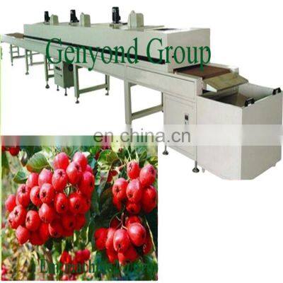 China Genyond fruit processing line fruit produce machine used for food processing