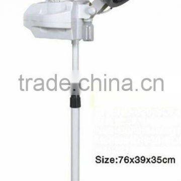 Beiqi Salon Equipment Hair Steamer