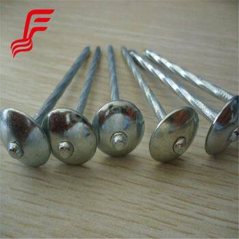 Hot Selling Galvanized Iron Umbrella Roofing Nails Cap Style With Smooth Shank for Steel Roofing Sheet Cheap Option photo-1