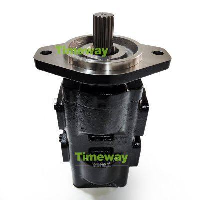 Gear Oil Pump 20-925341 Twin Hydraulic Pump for Repair JCB 3CX Loader photo-4
