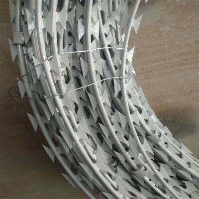 Hot-Dipped Galvanized or PVC Coated Concertina Razor Wire for Durable Fencing photo-5