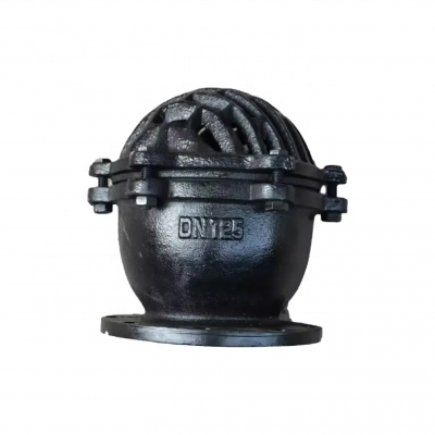 DN100 PN16 Ductile Iron Cast Iron Flange Foot Valve Pressure Filter Check Bottom Valve Foot Valve photo-2