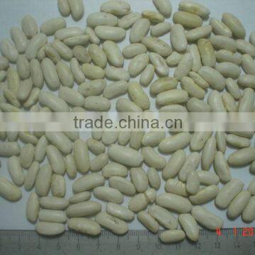 White beans from South America