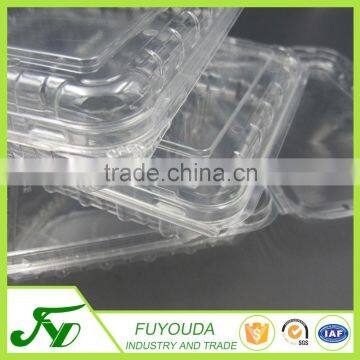 Fashion Design Clear Takeaway Plastic Fruit Container photo-2