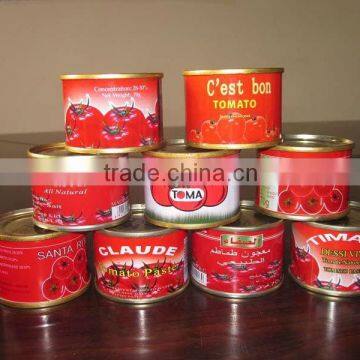 210g*48 tins tomato paste price