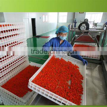 goji berry from China