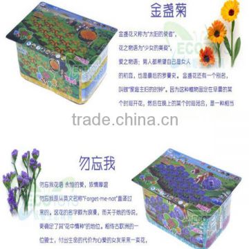 Happy farm-Potmarigold and Myosotis sylvatica