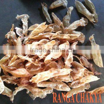 Dry Red Snapper Fishmaws
