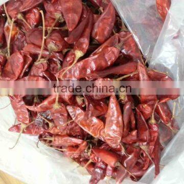 Dry Red Chili