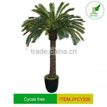 JYCY220/220cm fern leaf PU trunk artificial cycas palm tree