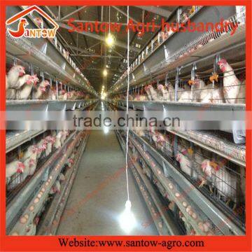 China Customized industrial chicken house for sale