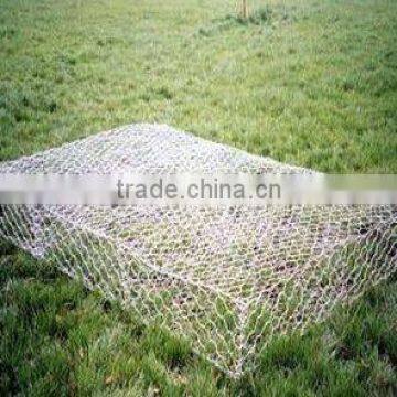 Gabion Box Hexagonal Wire Netting(Youjie Factory)