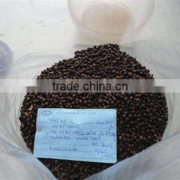 Wholesale price of black pepper 550gl/ 500gl (Mr.Duc Whatsapp +84948082991)