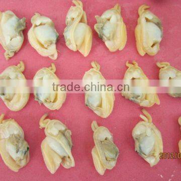 FROZEN BOILED YELLOW CLAM MEAT