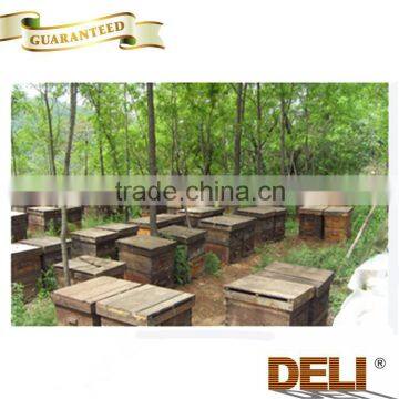 Reasonable Price Organic Thyme Honey photo-6