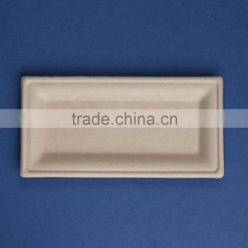 PL-10-05-R-UB 10*5 Inches Sugercane Flate Rectangle Shape Sugarcane Dinner Plates photo-3