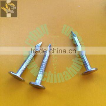 zinc plated flat big head Clout Nail for roofing