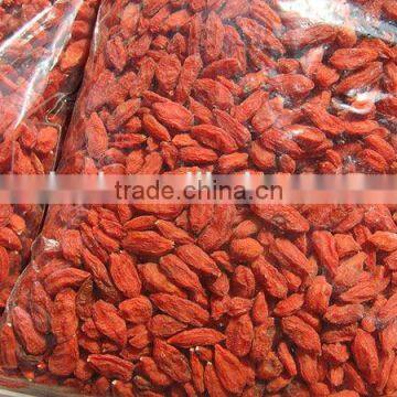 Dried Goji Berry/organic Goji Berry photo-3