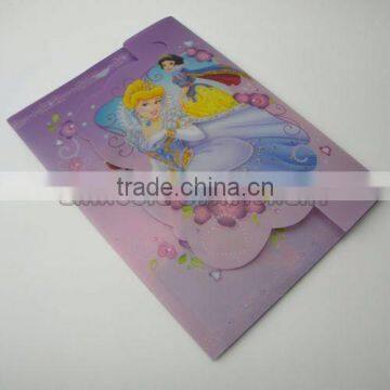 Hot sell file folder