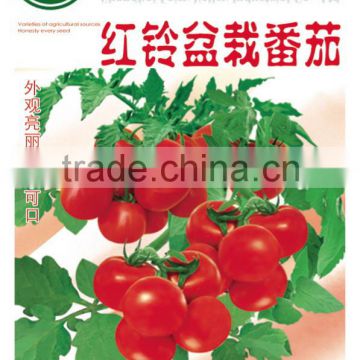 Landscape Red Cherry Tomato Seeds For Pot Growing-Red Bell Pot Tomato