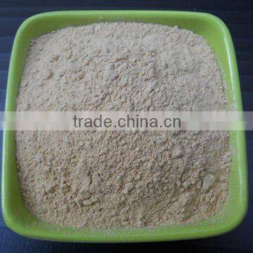 DEHYDRATED WHITE GARLIC POWDER INDIAN EXPORTER