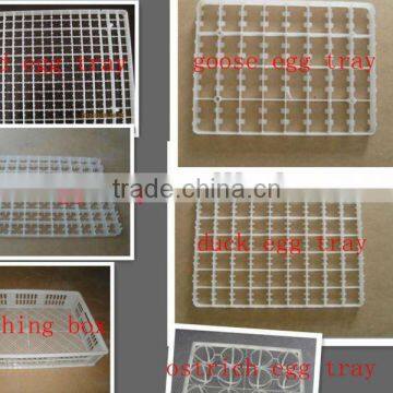 egg hatch tray