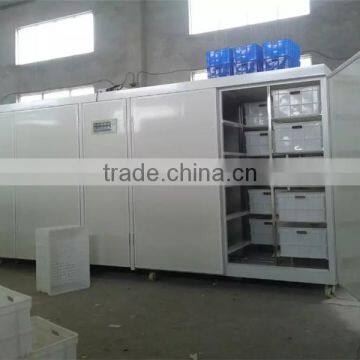 Hot Sale Multifunctional Soy Bean Sprout Machine photo-2