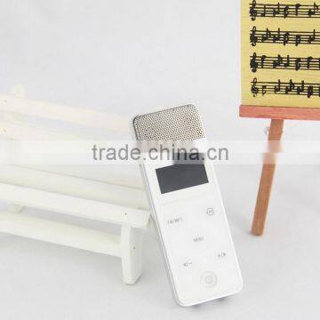 hot selling portable Mini karaoke player with custom logo,custom size,custom color,OEM orders are welcome