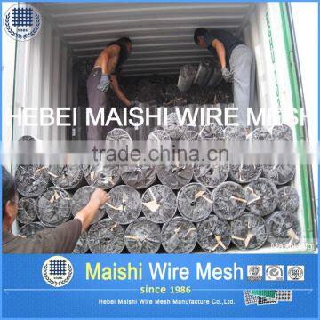 Factory Price Galvanized Gabion Mesh photo-4