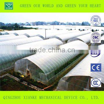 Big Cheep Glass Greenhouse for Seeding photo-4