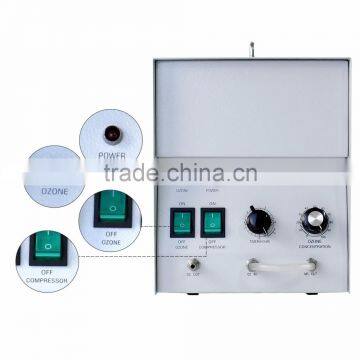 3 G/h Ozone Sterilized Water Treatment Machine for Water Plant