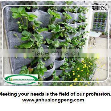 Wall Hanging Flower Pots,Outdoor Wall Planters,Flora Felt Living Wall Planter Vertical Garden