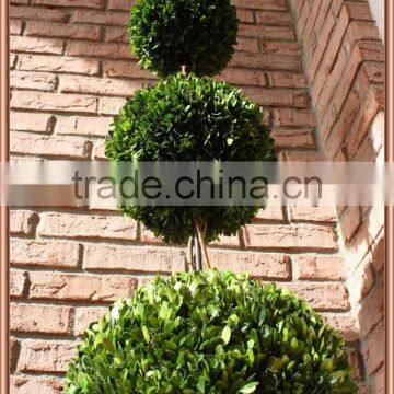 White Potted Preserved Triple Boxwood Balls Tree photo-2