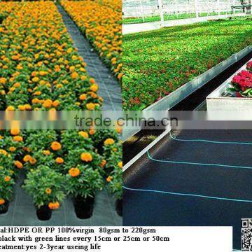 Subsoil Fabric photo-3