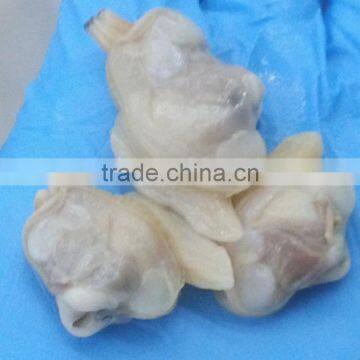 Frozen Boiled Baby Clam Size 21-30 photo-2