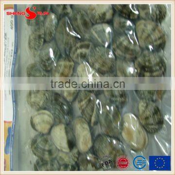 Frozen Boiled Baby Clam photo-3