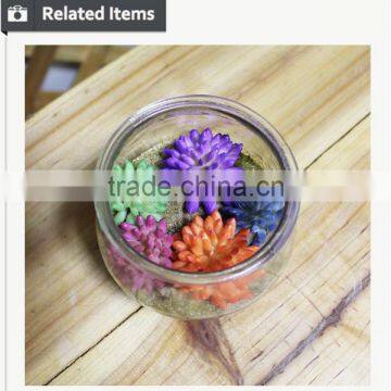 Artificial Potted Plants Office Artificial Plant Handmade Mini Plant photo-6